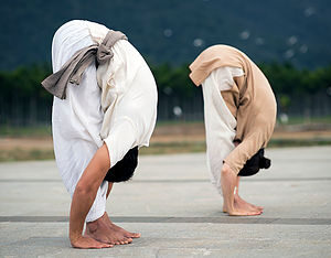 Yogasanas Session -  jabalapur